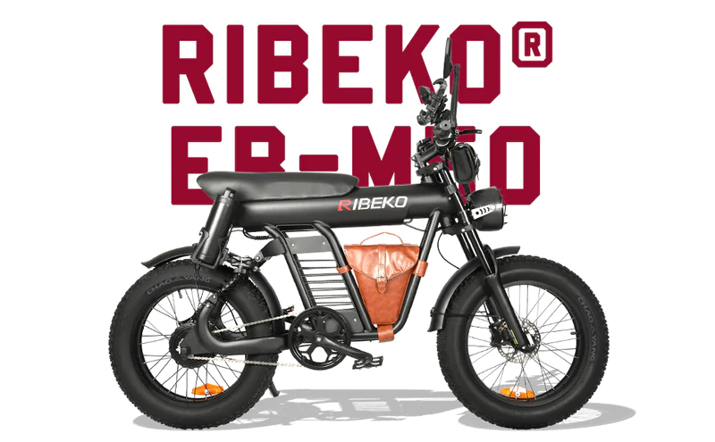 the RIBEKO® Black Knight EB-M50 is not just an electric road bike