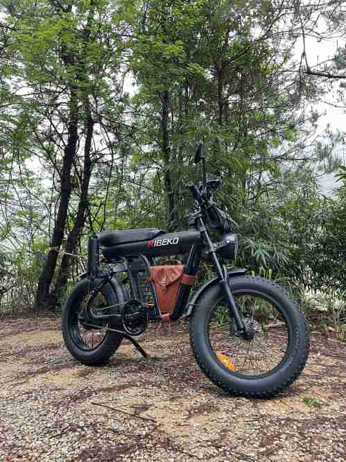 Electric Bicycle E Bike: Versatile Commuting