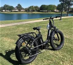 electric bike 400 lb capacity