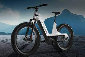 mid drive fat tire electric bike