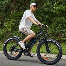 vivi electric bike 500w