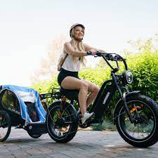 electric bike rental boise