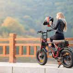 1000 electric bike