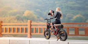 1000 electric bike