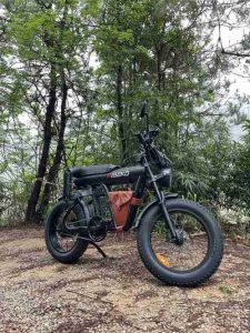 ancheer electric bike reviews