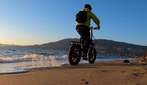 philodo electric bike review