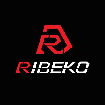 Riding Excellence: Features of Top Electric Bike Brands by RIBEKO