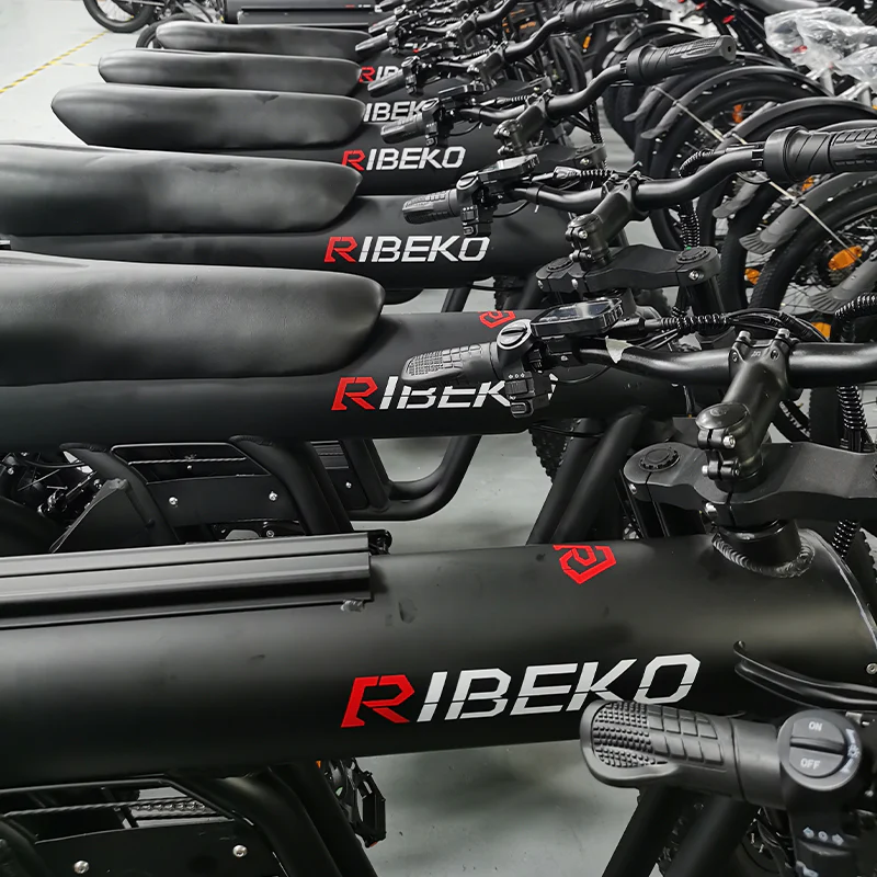 Wholesale Electric Bike: Bulk Purchasing Solutions