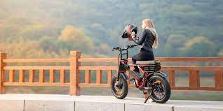 2 passenger electric bike