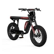 electric bike with kid carrier