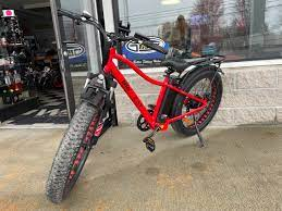 electric bike with big wheels