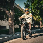 sand viper electric bike