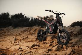 the electric bike