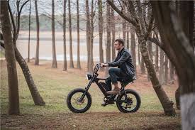 fat tire electric bike reviews