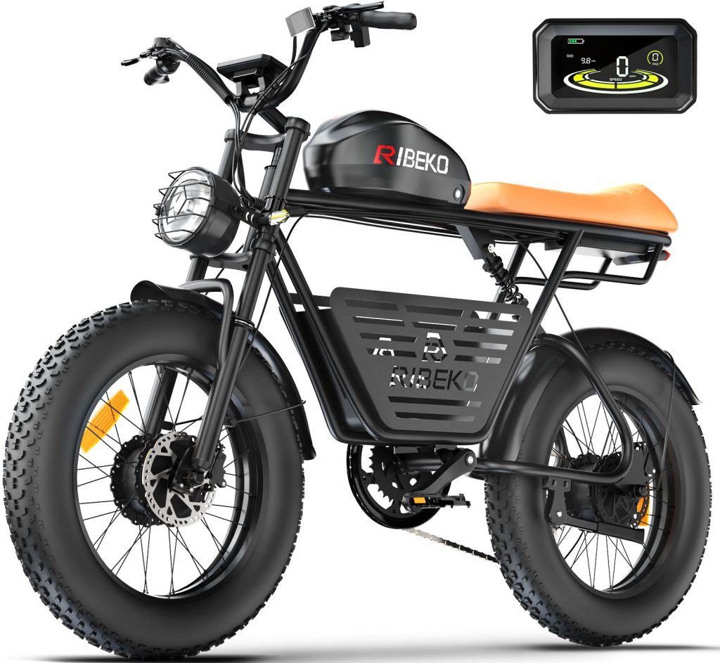 electric vehicle bike