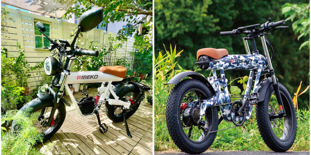 Shtuyot Electric Bike: Versatility and Comfort