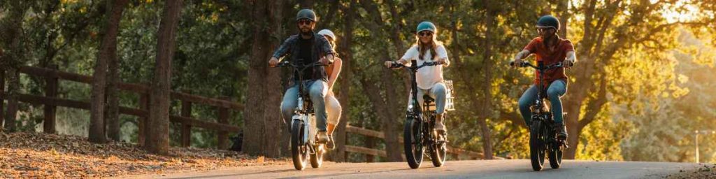 W9 Electric Bike: Innovation and Comfort