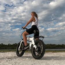 The HD Electric Bike combines power and versatility, making it suitable for various riding needs.