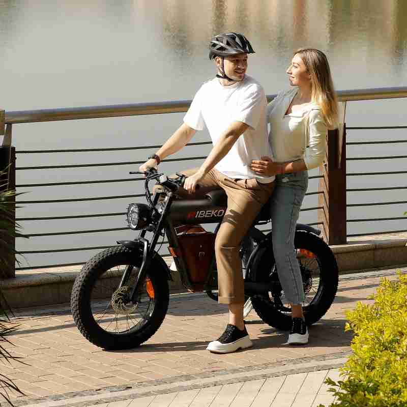 RIBEKO EB-MX60 Adult EBikes