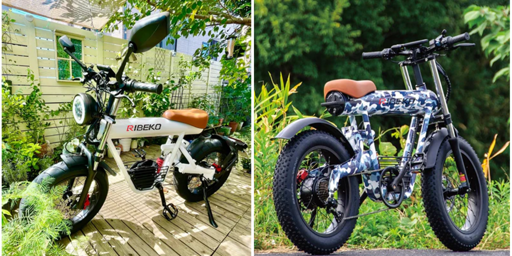 Why RIBEKO Electric Bike Offers the Best Value