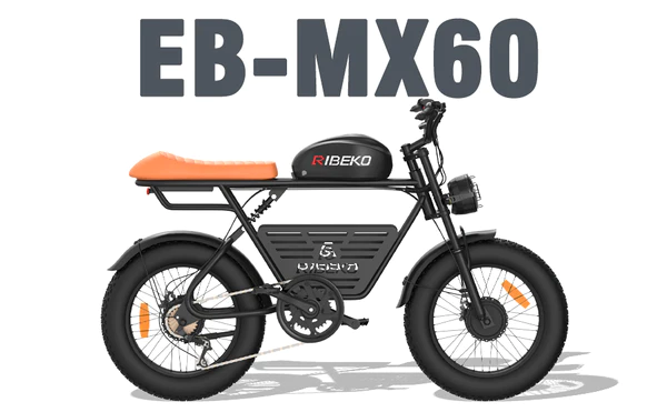 Features of the RIBEKO EB-MX60