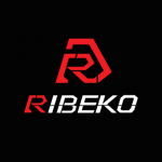 Why RIBEKO Stands Out Among Top Electric Bike Companies