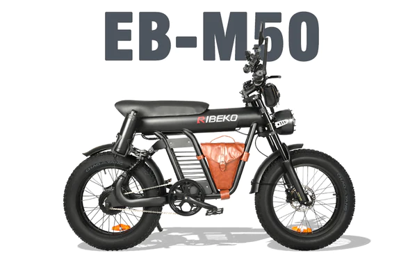 Explore the Adventure: RIBEKO M50 Fat Tire Bike 20 inch for Sale  