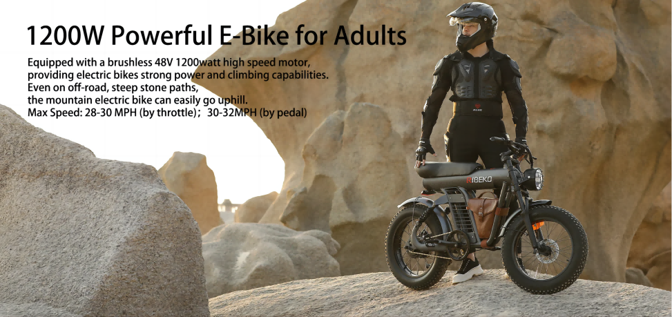 RIBEKO Electric ATV Bike: Conquer Any Terrain